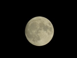 Bijna volle supermaan Foto Koos Dijksterhuis 